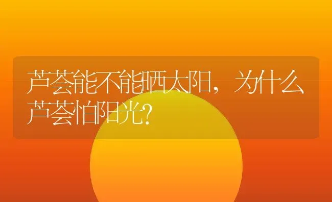芦荟能不能晒太阳,为什么芦荟怕阳光？ | 养殖常见问题