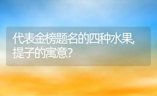 代表金榜题名的四种水果,提子的寓意？ | 养殖常见问题