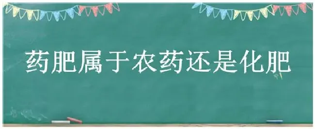 药肥属于农药还是化肥 | 科普知识