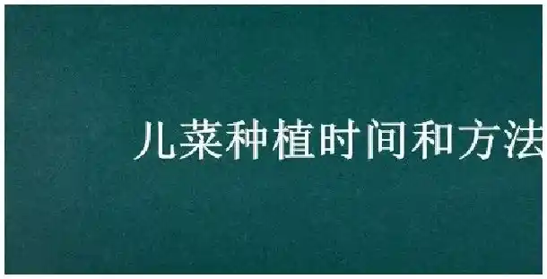儿菜种植时间和方法 | 科普知识