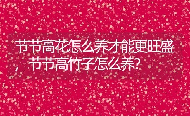节节高花怎么养才能更旺盛,节节高竹子怎么养？ | 养殖常见问题