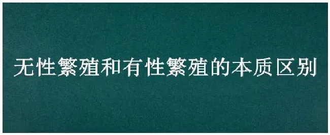 无性繁殖和有性繁殖的本质区别 | 生活常识