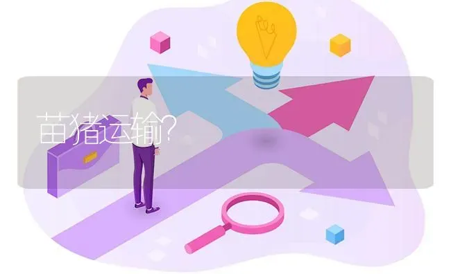 苗猪运输? | 养殖问题解答