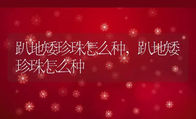 趴地矮珍珠怎么种,趴地矮珍珠怎么种 | 养殖常见问题