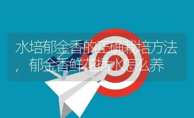 水培郁金香的正确栽培方法,郁金香鲜花插水怎么养 | 养殖常见问题
