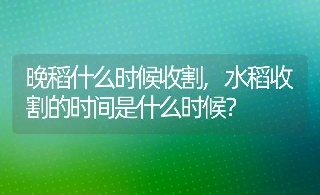 晚稻什么时候收割,水稻收割的时间是什么时候？ | 养殖常见问题