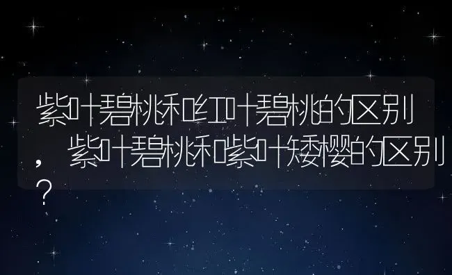 紫叶碧桃和红叶碧桃的区别,紫叶碧桃和紫叶矮樱的区别？ | 养殖常见问题