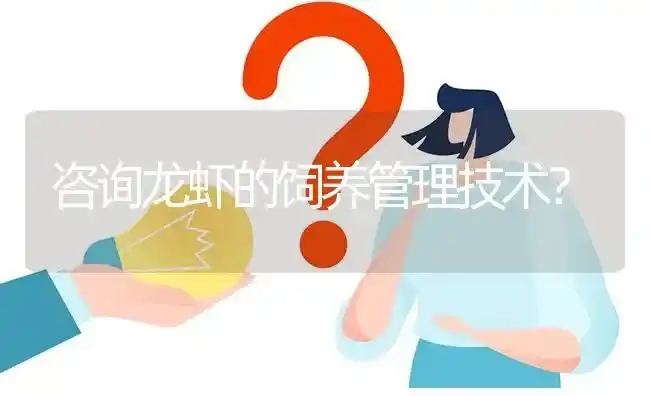 咨询龙虾的饲养管理技术? | 养殖问题解答