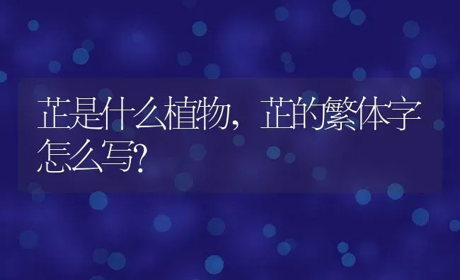 芷是什么植物,芷的繁体字怎么写？ | 养殖常见问题