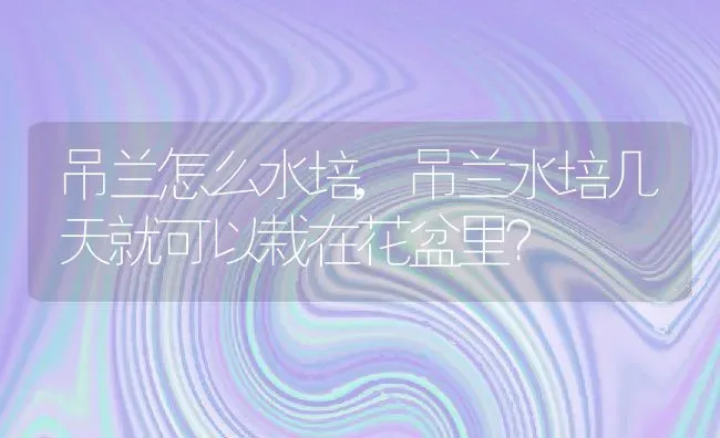 吊兰怎么水培,吊兰水培几天就可以栽在花盆里？ | 养殖常见问题