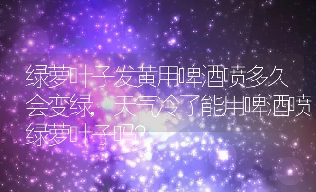 绿萝叶子发黄用啤酒喷多久会变绿,天气冷了能用啤酒喷绿萝叶子吗？ | 养殖常见问题