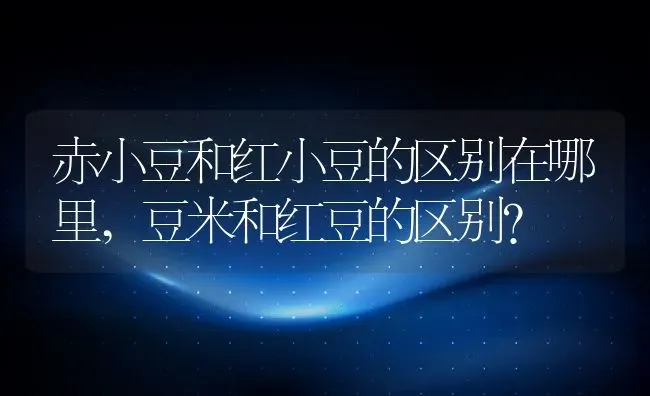 赤小豆和红小豆的区别在哪里,豆米和红豆的区别？ | 养殖常见问题