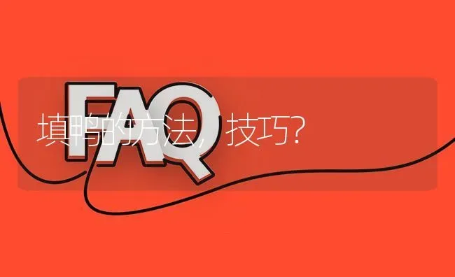 填鸭的方法,技巧? | 养殖问题解答