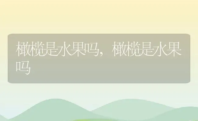 橄榄是水果吗,橄榄是水果吗 | 养殖常见问题