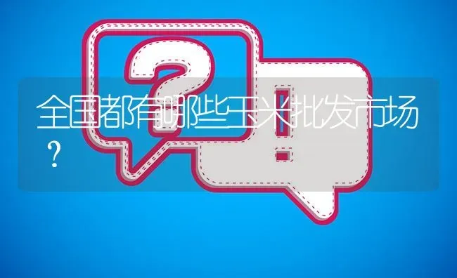 全国都有哪些玉米批发市场? | 养殖问题解答
