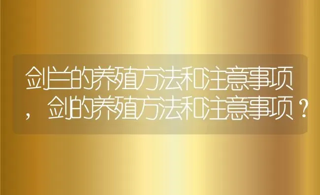 剑兰的养殖方法和注意事项,剑的养殖方法和注意事项？ | 养殖常见问题