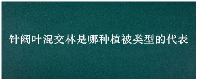针阔叶混交林是哪种植被类型的代表 | 农业常识