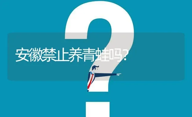 安徽禁止养青蛙吗? | 养殖问题解答