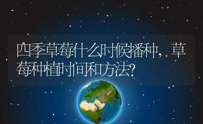 四季草莓什么时候播种,草莓种植时间和方法？ | 养殖常见问题