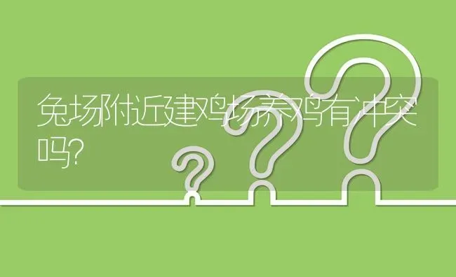 兔场附近建鸡场养鸡有冲突吗? | 养殖问题解答