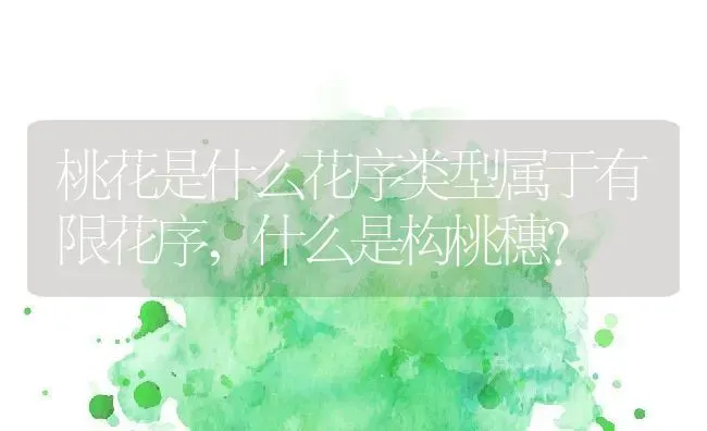 桃花是什么花序类型属于有限花序,什么是构桃穗？ | 养殖常见问题