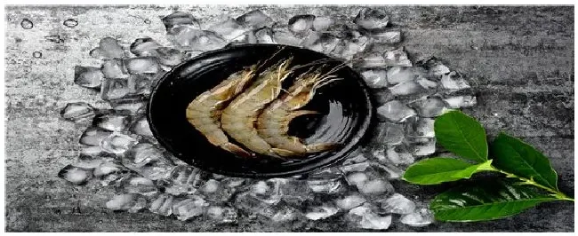 淡水虾养殖技术大全 | 三农问答