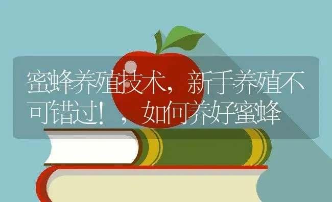 蜜蜂养殖技术,新手养殖不可错过!,如何养好蜜蜂 | 养殖常见问题