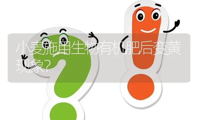 小麦施用生物有机肥后变黄现象? | 养殖问题解答