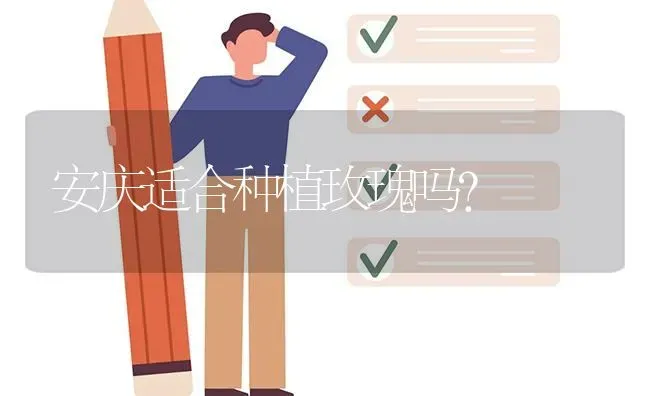 安庆适合种植玫瑰吗? | 养殖问题解答