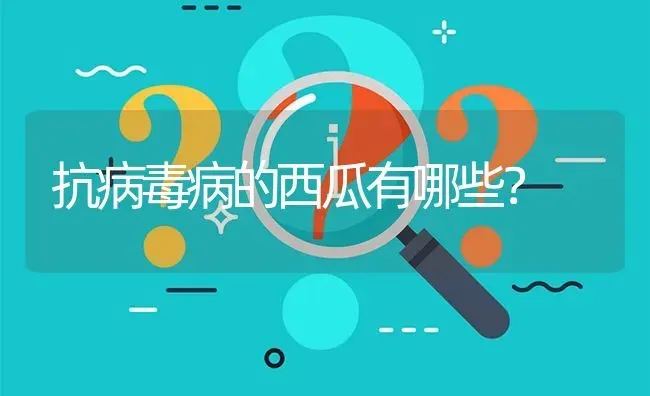 抗病毒病的西瓜有哪些? | 养殖问题解答