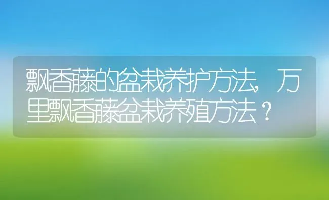 飘香藤的盆栽养护方法,万里飘香藤盆栽养殖方法？ | 养殖常见问题