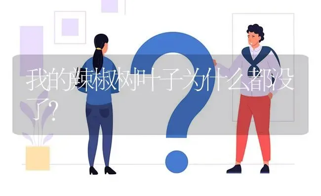 我的辣椒树叶子为什么都没了? | 养殖问题解答