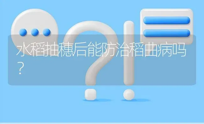 水稻抽穗后能防治稻曲病吗? | 养殖问题解答