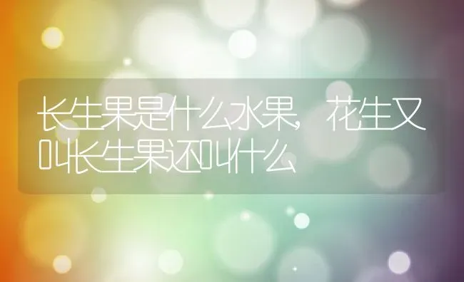 长生果是什么水果,花生又叫长生果还叫什么 | 养殖常见问题
