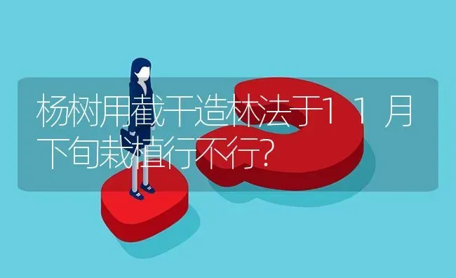 杨树用截干造林法于11月下旬栽植行不行? | 养殖问题解答