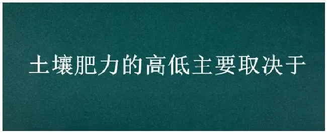 土壤肥力的高低主要取决于 | 三农问答