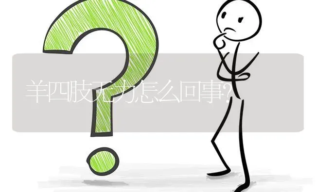 羊四肢无力怎么回事? | 养殖问题解答