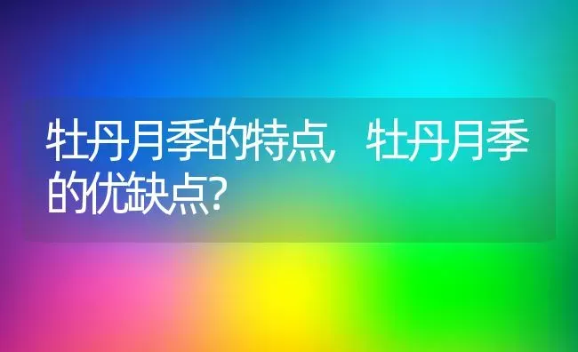 牡丹月季的特点,牡丹月季的优缺点？ | 养殖常见问题