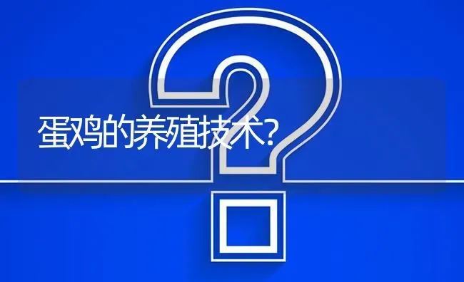 蛋鸡的养殖技术? | 养殖问题解答