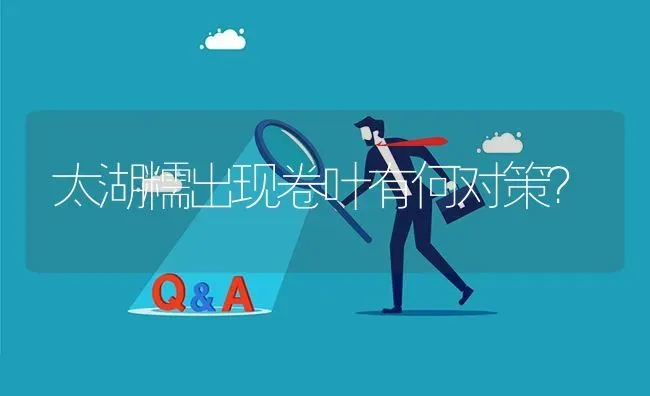 太湖糯出现卷叶有何对策? | 养殖问题解答
