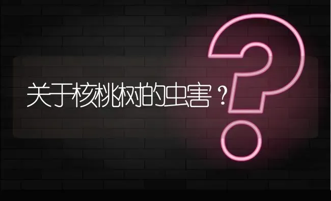 关于核桃树的虫害? | 养殖问题解答