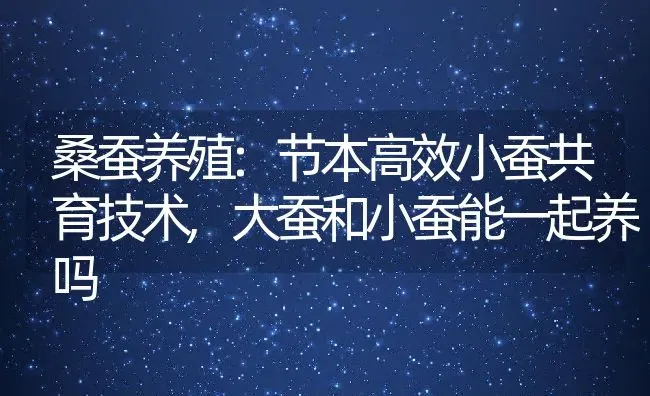 桑蚕养殖:节本高效小蚕共育技术,大蚕和小蚕能一起养吗 | 养殖常见问题