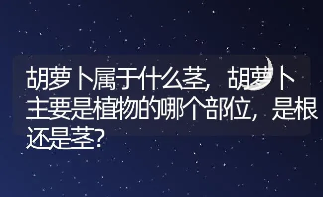 胡萝卜属于什么茎,胡萝卜主要是植物的哪个部位，是根还是茎？ | 养殖常见问题