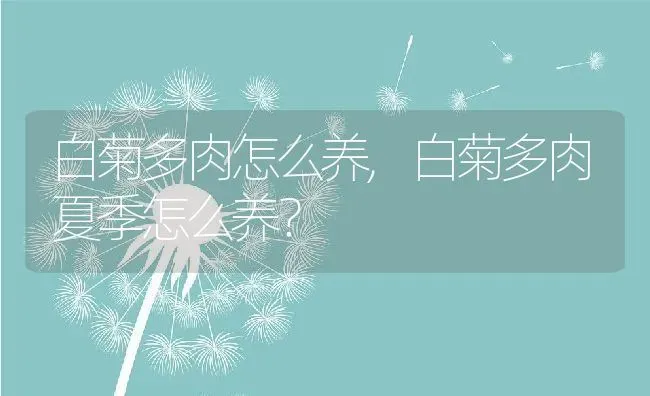 白菊多肉怎么养,白菊多肉夏季怎么养？ | 养殖常见问题