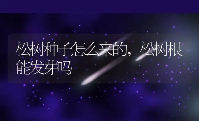 松树种子怎么来的,松树根能发芽吗 | 养殖常见问题