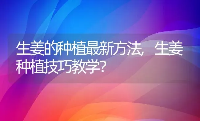 生姜的种植最新方法,生姜种植技巧教学？ | 养殖常见问题