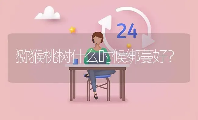 猕猴桃树什么时候绑蔓好? | 养殖问题解答
