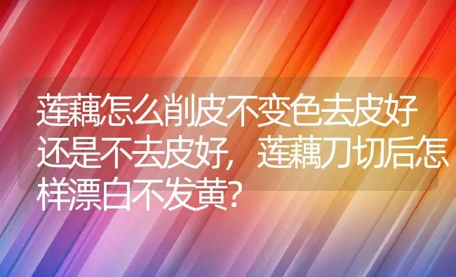 莲藕怎么削皮不变色去皮好还是不去皮好,莲藕刀切后怎样漂白不发黄？ | 养殖常见问题