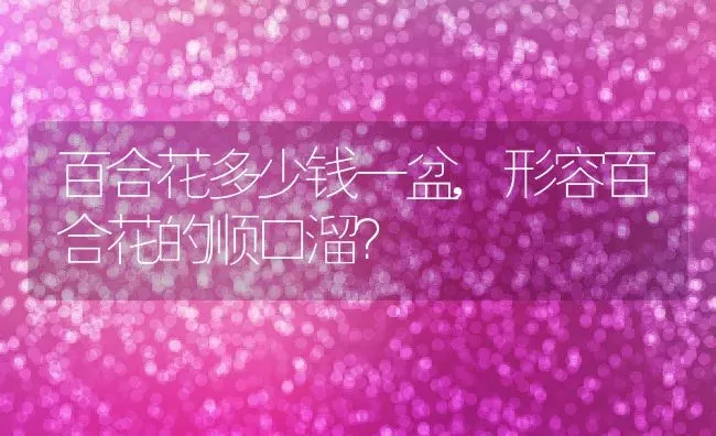 百合花多少钱一盆,形容百合花的顺口溜？ | 养殖常见问题