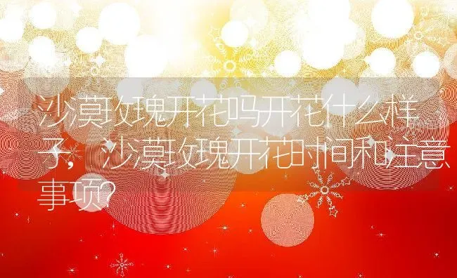 沙漠玫瑰开花吗开花什么样子,沙漠玫瑰开花时间和注意事项？ | 养殖常见问题